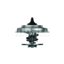 termostat-db-87c-jaguar-mahle-tx-18-87d