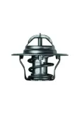 termostat-ford-92c-mahle-tx-4-92d