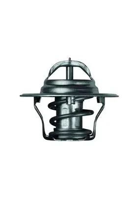 termostat-ford-92c-mahle-tx-4-92d
