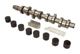 zestaw-walka-rozrzadu-walek-popychacze-panewki-smar-motive-t2617kb