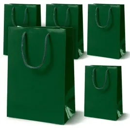 prezentowe-torby-laminowane-24x9x32-cm-zielone-190-gsm-eko-papierowe-5-szt