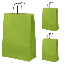 torby-papierowe-24x10x32-cm-jasnozielone-czarny-uchwyt-prezentowe-eko-3-szt