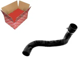 przewod-chlodnicy-db-s215-w220-98-dolny-febi-bilstein-36146