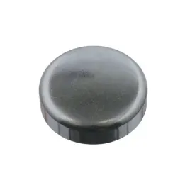 kapturek-piasty-vw-febi-bilstein-31793