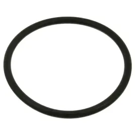 oring-termostatu-maly-febi-bilstein-18774