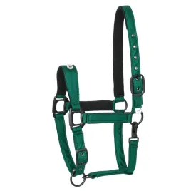 b-kantar-dla-konia-equestrian-queen-stuttgart-26ss-podszyty-zielony-cob