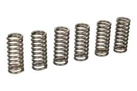 sprezyny-sprzeglowe-moto-ktm-250-exc-g-racing-03-04-ebc-brakes-csk210