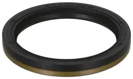 simer-polosi-vw-golf-1-9tdi-98-60x74x8-elring-454-820