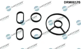 zestaw-uszczelek-chlodnicy-oleju-ford-mondeo-20-07-dr-motor-automotive-dr