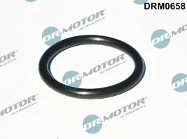 uszczelka-turbosprezarki-fiat-ducato-23jtd-06-dr-motor-automotive-drm0658