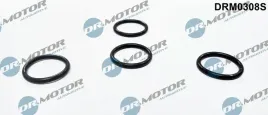 zestaw-montazowy-wtryskiwacza-opel-astra-17dti-98-4szt-dr-motor-automoti