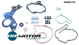 zestaw-napr-pompy-prozniowej-vw-19tdi-rozszerzony-dr-motor-automotive-drm