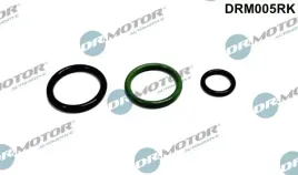 zestaw-napr-pompowtryskiwacza-vw-dr-motor-automotive-drm005rk