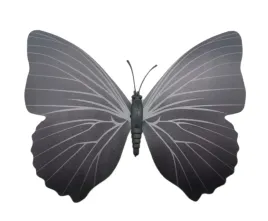 magnes-motyl-3d-ozdobny-na-lodowke-m59-czarny