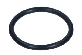 uszczelka-krocca-wody-audi-a4-20-tfsi-05-vag-wht001688