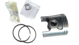 tlok-asso-werke-polini-474-mm-piaggio-sfera-honda-gp-2040614