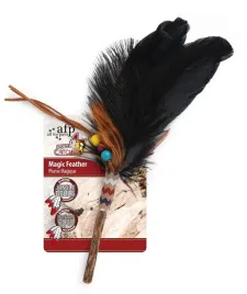 magiczne-pioro-afp-dreams-catcher