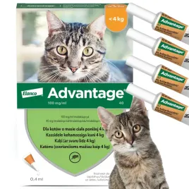 advantage-krople-na-pchly-dla-kota-4-pipety-04-ml-skuteczne