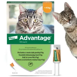 advantage-krople-na-pchly-dla-kota-ponizej-4-kg-04-ml
