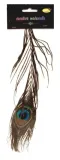 pioro-pawia-25cm