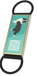 identyfikator-dla-psa-z-kodem-qr-adresowka-niesmiertelnik-border-collie
