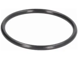 uszczelka-termostatu-audi-a3-8v-tt-fv-a1-q3-8u-q2-ga