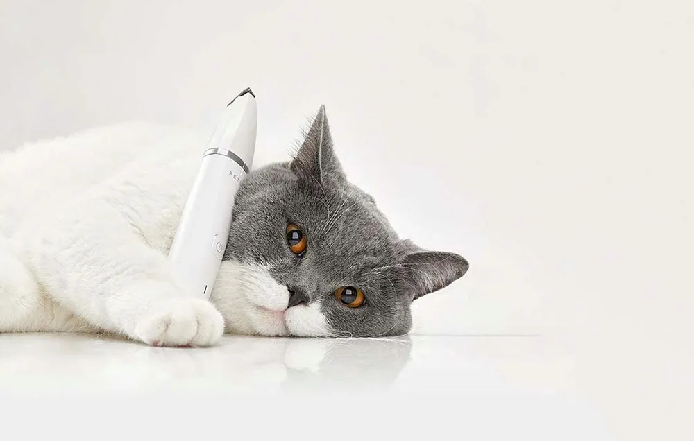 petkit-trymer-2w1
