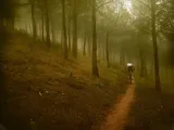 chwyty-rowerowe-ergon-gs2-l-stan-nowy-marka-ergon