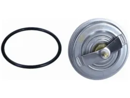 termostat-bmw-3-e30-1-6-1-8-e36-1-6-2-8-5-e34-1-8-2-5