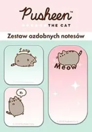 zestaw-notesow-30-k-3-szt-pusheen