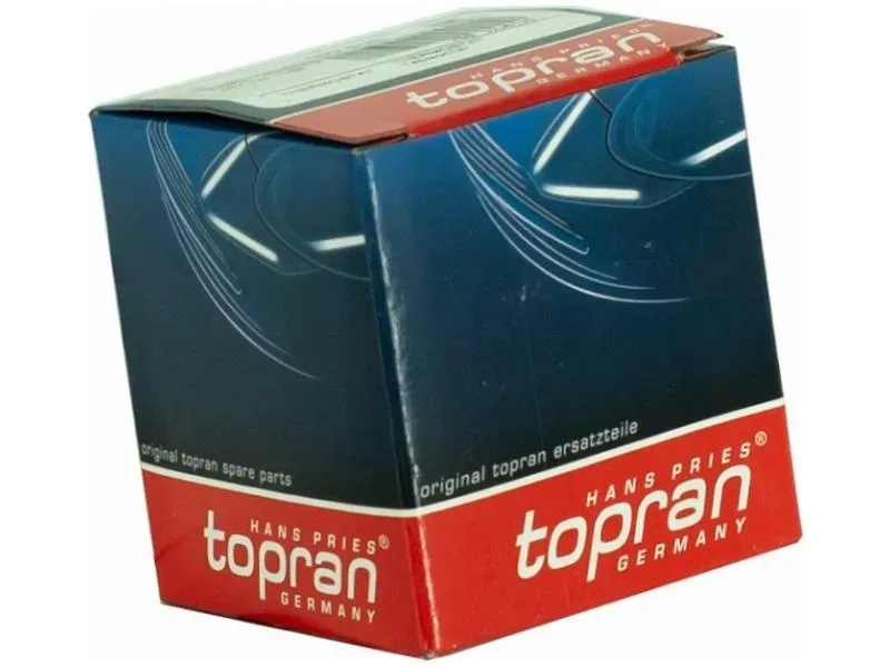 termostat-renault-laguna-iii-2-0