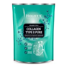 holista-collagen-type-ii-pure-600g-wsparcie-stawow-i-elastycznosci-chrzastk