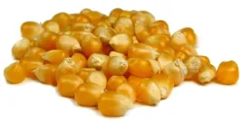kukurydza-popcorn-1kg