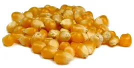 kukurydza-popcorn-5kg