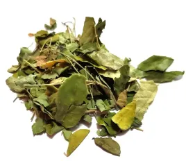 moringa-oleifera-lisc-500g