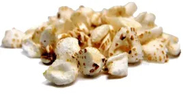 kasza-gryczana-preparowana-100g-ekspandowana