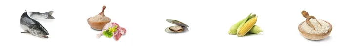 josera-karma-sucha-losos-3-kg-wiek-zwierzecia-psy-dorosle