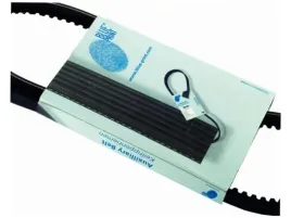 pasek-klinowy-blue-print-ad13v1175