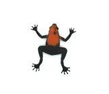 figurka-hipo-zaba