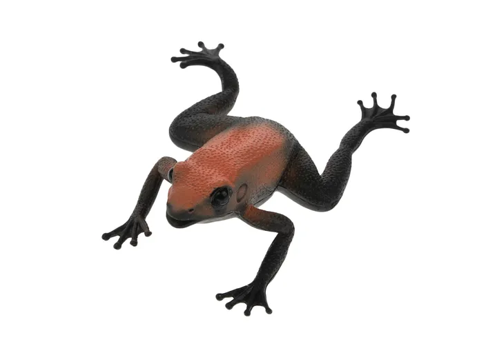 figurka-hipo-zaba-plec-chlopcy