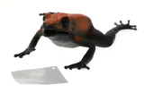 figurka-hipo-zaba-marka-hipo