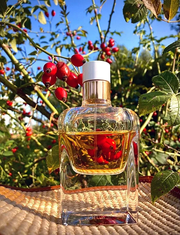 hermes-jour-d-hermes-absolu-eau-de-parfum-85ml