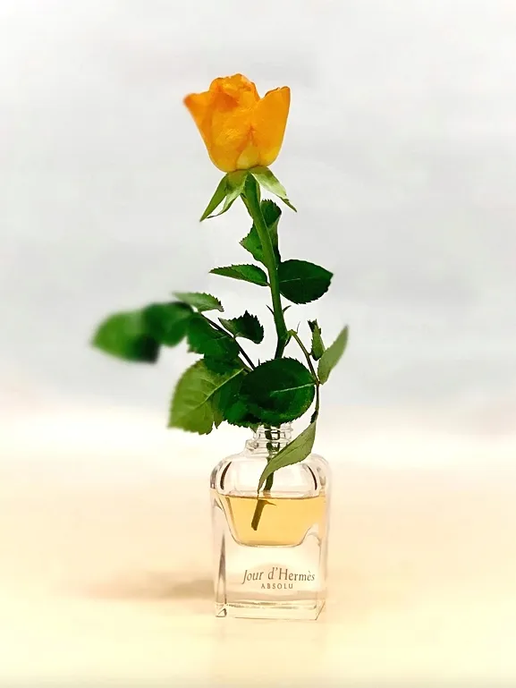 hermes-jour-d-hermes-absolu-eau-de-parfum-85ml