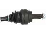 polos-tyl-prawa-spidan-36070-stan-nowy