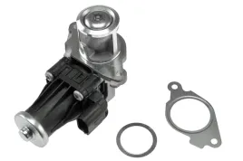 nty-egr-pl-012-zawor-agr