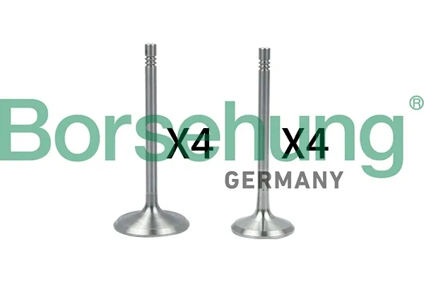 borsehung-b18146-zawor-producent-czesci-borsehung