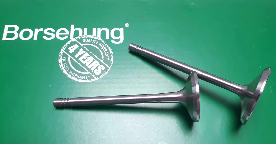 borsehung-b18146-zawor-producent-czesci-borsehung