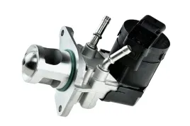 nty-egr-bm-009-zawor-agr