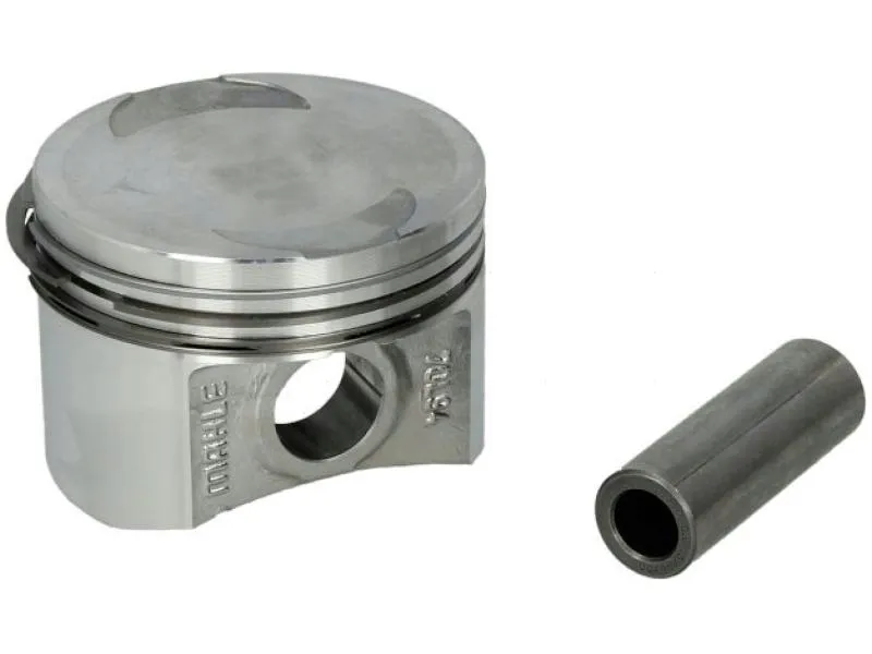 mahle-009-36-00-tlok