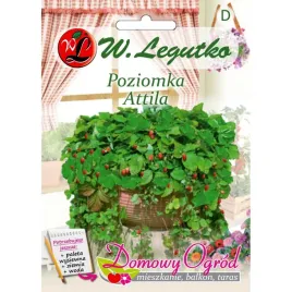 nasiona-poziomka-attila-01g